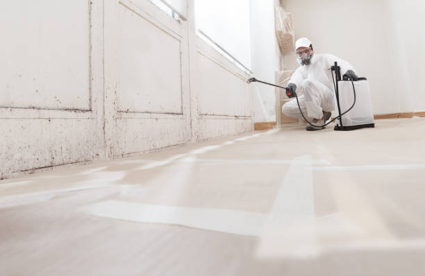 24/7 Emergency Attic Mold Remediation experts in Mercer Island, WA